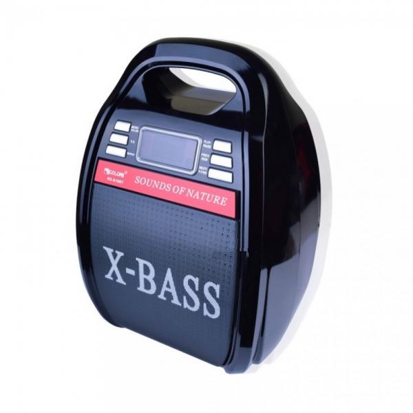 X-BASS Golon RX-810-BT LED +радіомікрофон